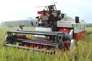 Foto: ILUSTRASI- Pertanian di Kabupaten Kutai Kartanegara.